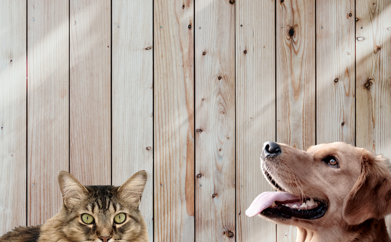 Vet Clinic in Fremont, MI Loving Care Animal Clinic